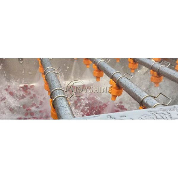 Tomato/Strawberry Cleaning Machine with Lifting Function and Multifunctional Function