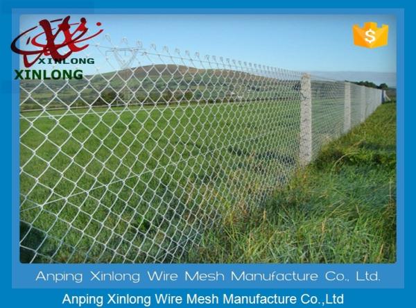Farm Equipment Galvanized Steel Chain Link Fence 8 Foot Diamond Hole Shape