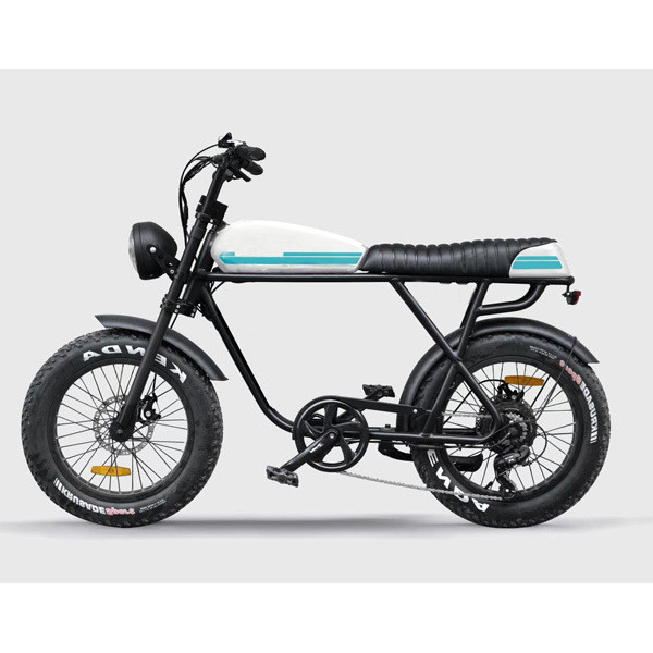 7 Speed Newest 73 Model Suspension Super Vintage Electric Retro MotorBike Fat E Bike 1000W