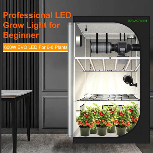 BAVAGREEN 600W LED Grow Light Samsung LM301H EVO UV IR Control Commercial Bar Growing Lamp For 120x120cm Plant Tent