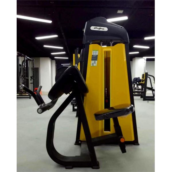 Commercial Fitness Center Universal Pin Loaded Rotary Torso Machine for Abs Workout