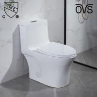 Dual Flush One Piece Elongated Toilet Matt Black S Trap