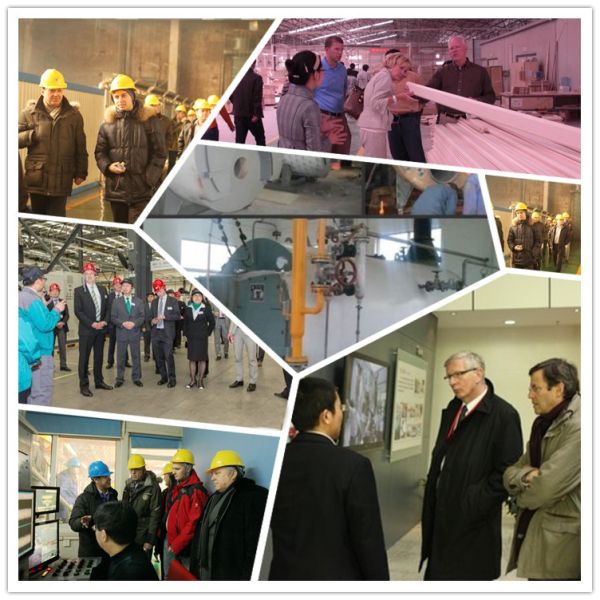 Simple Structure Hot Water Boiler,Double Drum D Type Water Tube Boiler