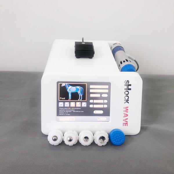 1Hz Equine Shock Wave Therapy Machine For Horses