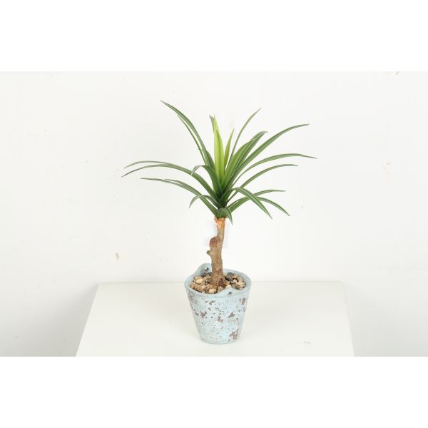 Greenery Flexible Glue Agave Artificial Bonsai Tree 22 CM 25 CM 33 CM