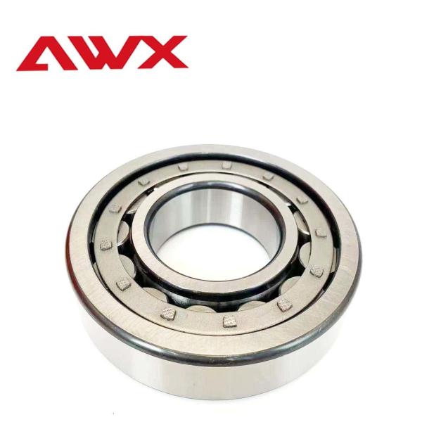 Single Row Double Row Cylindrical Roller Bearing NJ2217E NJ2218E NJ2219E NJ2220E NJ2221E