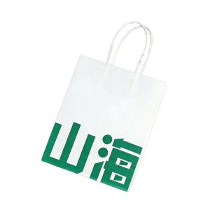 Recyclable Twisted Handle Paper Bag Biodegradable Shopping Gift Bags Reusable