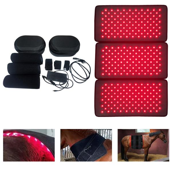 3 In 1 Removable Body Sculpting Weight Loss Red Light Therapy Machine 660nm 850nm