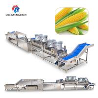 Máquina de limpeza 2.5KW da bolha de Kiwi Carrot Taro Vegetable Brush