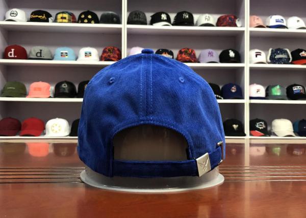 Hot Sales ACE Unisex 5 panels Blue Silk Print Logo With Flat Embroidery Logo on Left Panels Baseball Cap