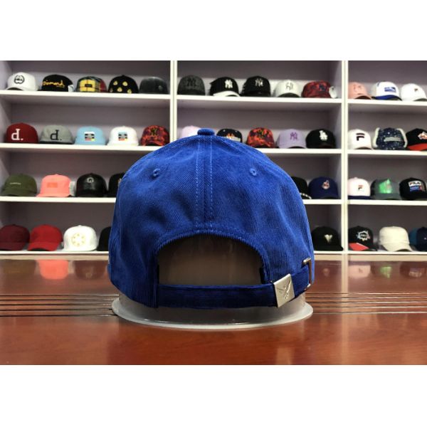 Hot Sales ACE Unisex 5 panels Blue Silk Print Logo With Flat Embroidery Logo on Left Panels Baseball Cap