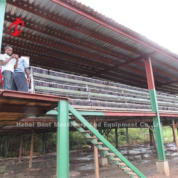 A type Broilers Battery Cage Poultry Farming ISO14001 Doris