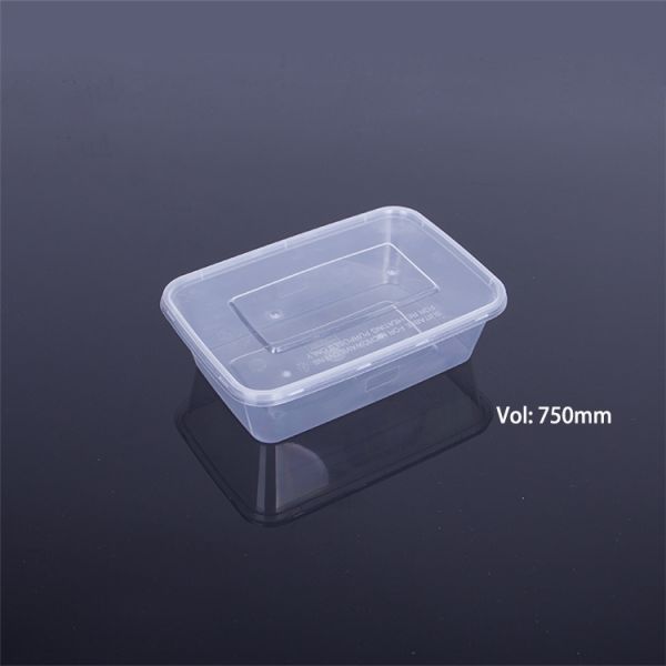 Takeaway 173*115*55mm Disposable Plastic Food Tray
