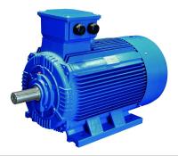 motor síncrono da C.A. PM da terra rara de 20kw 37kw 55kw TYB para fãs e bombas