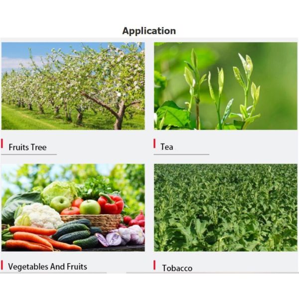 Chelated Zn Cu B Fe Mn Mo Fertilizer