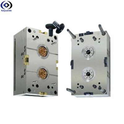HASCO Multi Cavity Injection Molding Hot Cold Runner 2 Cavity Mold