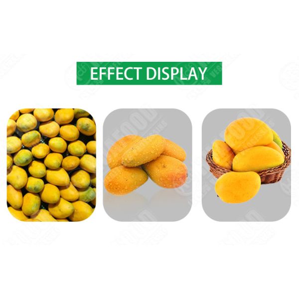 Commercial Fruit & Vegetable Processing Machines Dryer Fruit And Vegetables Dried Fruit Processing Machine