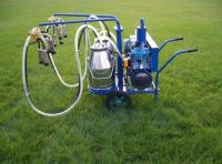 Machine à traire électrique 220V de vache laitière d'acier inoxydable