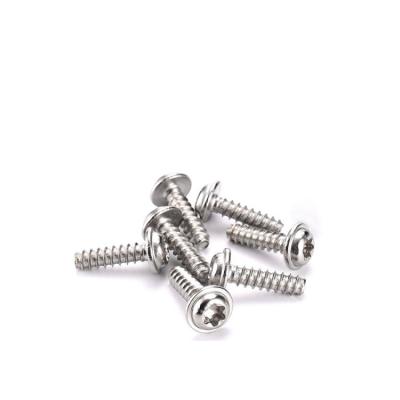 Stainless Steel or Zinc Plated Self Tapping Screw with Phillips Torx Pan Head