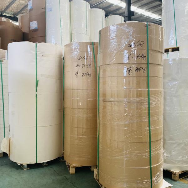 Copo de papel inferior da matéria prima da largura 190g do rolo 4cm do copo de papel de produto comestível