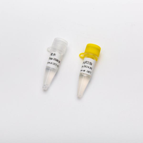 Multiplex Probe qPCR Mix for DNA real time PCR 100ml