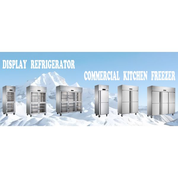 Congélateur en verre à double porte de haute transparence pratique et durable pour la conservation de la fraîcheur