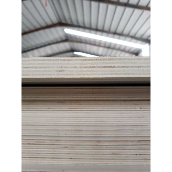 Indoor Wooden Veneer Board Panel with E1 Standard and Paint-free Ecological Board