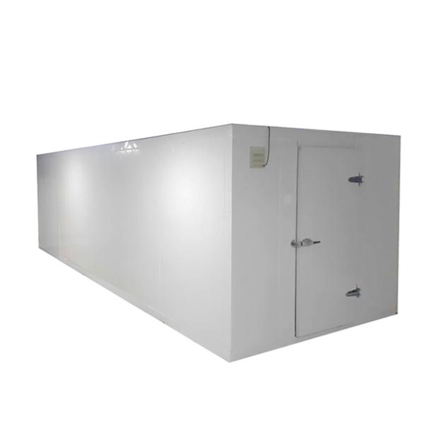 Supermarket/Shopping Mall Large Frozen And Refrigerated Fruit/Vegetable Storage Cold Storage