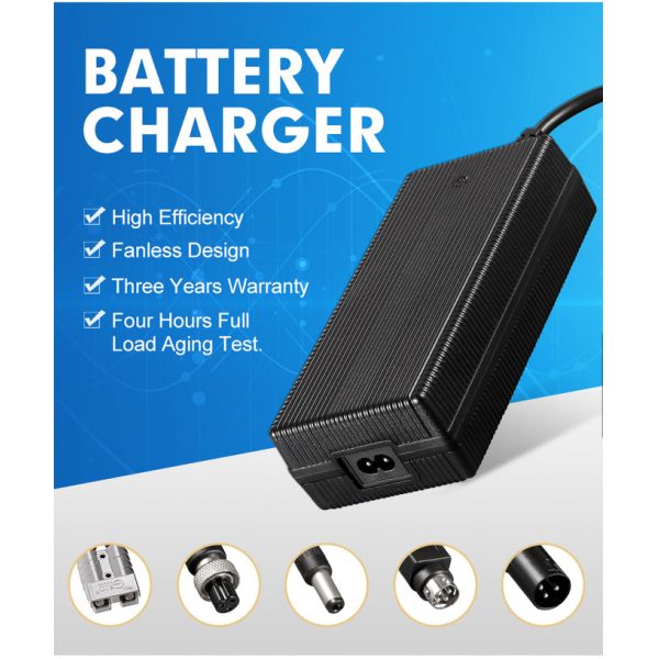 Electric Scooters Lithium Battery Accessories 220V AC 12V 24V 36V 48V 60V 72V