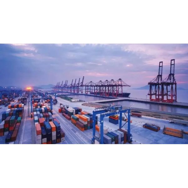MSC Mediterranean Shipping Global Container Shipping & Integrated Logistics Solutions