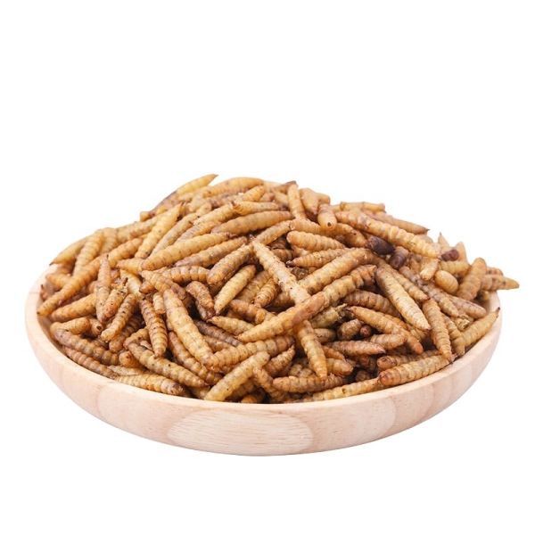 GMP+ FDA Insect Dried Black Soldier Fly Larvae High Protein