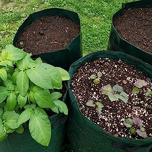 Potato Grow Bags, 4 Pack 10 Gallon With Flap And Handles Planter Pots For Onion, Fruits, Tomato, Carrot - Green