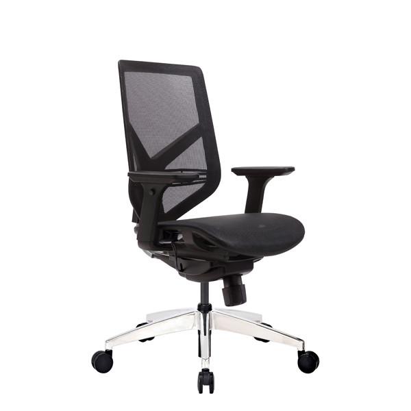 Tender Form M 4D Arms Ergonomic Mesh Office Chair Seat Paddle Control Ergo Support