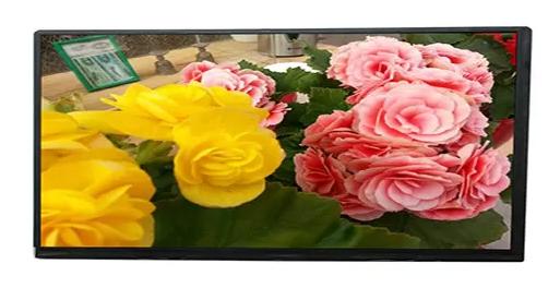 10.1 Transmissive TFT LCD Screen Full Viewing Angle LVDS Interface 40 Pins