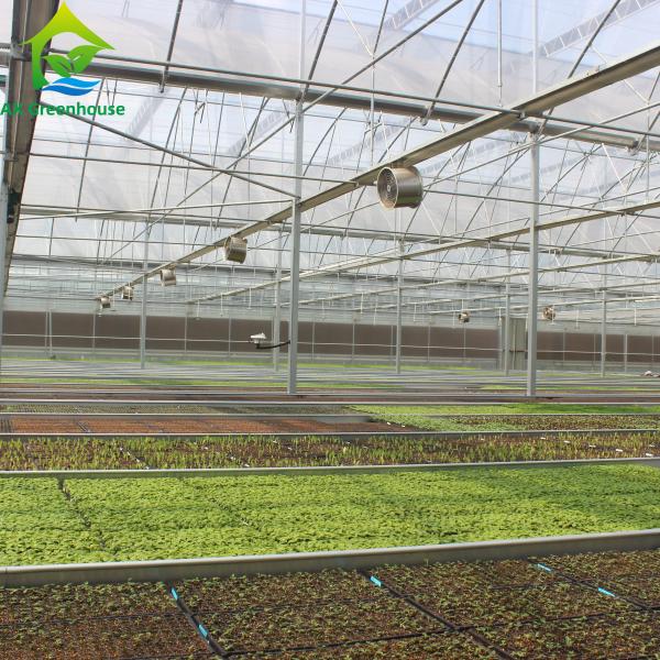 Acessórios agrícolas da estufa do filme do PO do multi período plástico comercial