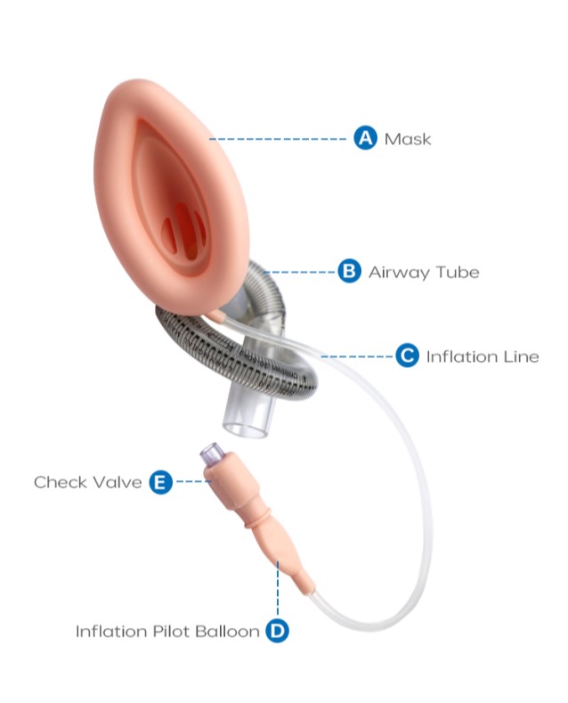 Дети определяют размер маску 3 Lma Laryngeal, усиленную Laryngeal трубку авиалинии
