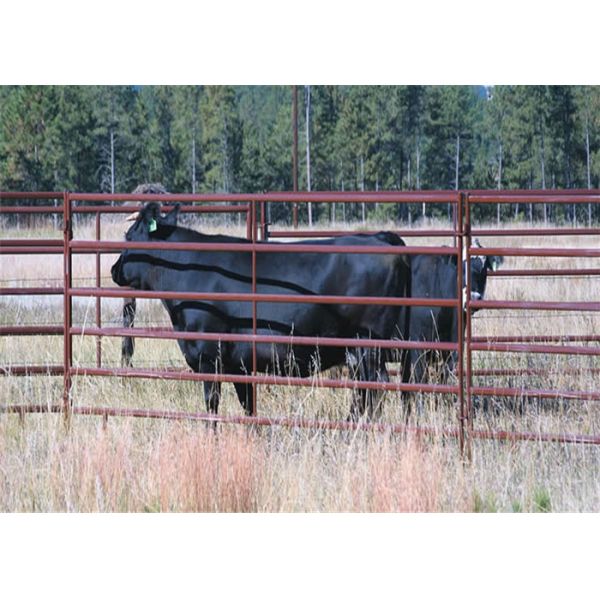 Легкая собранная панель загородки скотин вполне сварила гальванизированный соединением материал трубки