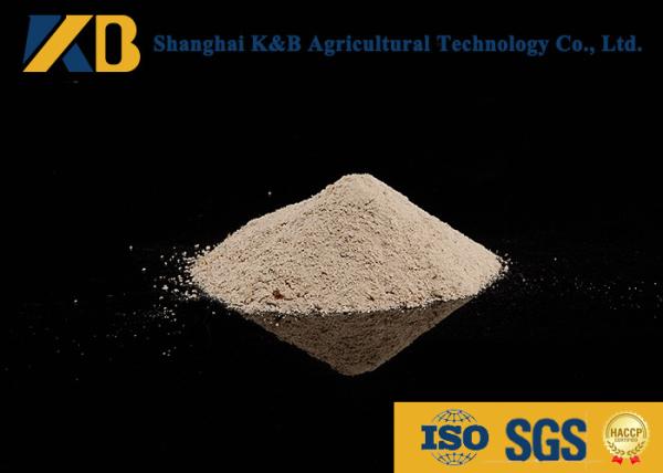 Animal Nutrition Supplements / White Rice Protein Powder High Biological Value
