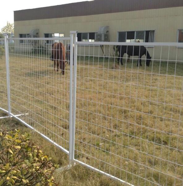 Canada Event Temporary Fence Hire Imported 6'x10' construction fencing panels mesh 2x4x8 ga wire coated RAL3004