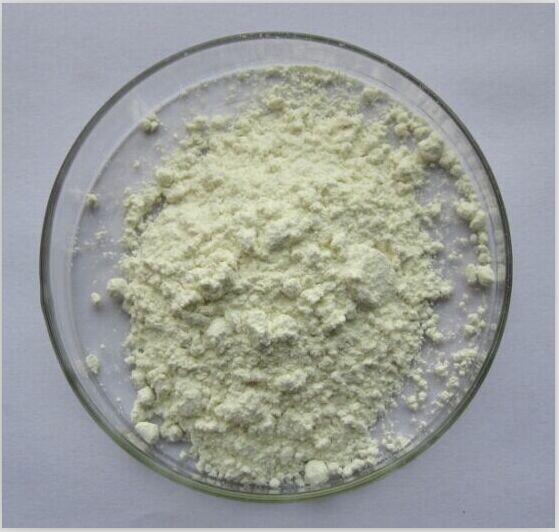 100% natural Black Pepper Extract 98% Piperine powder