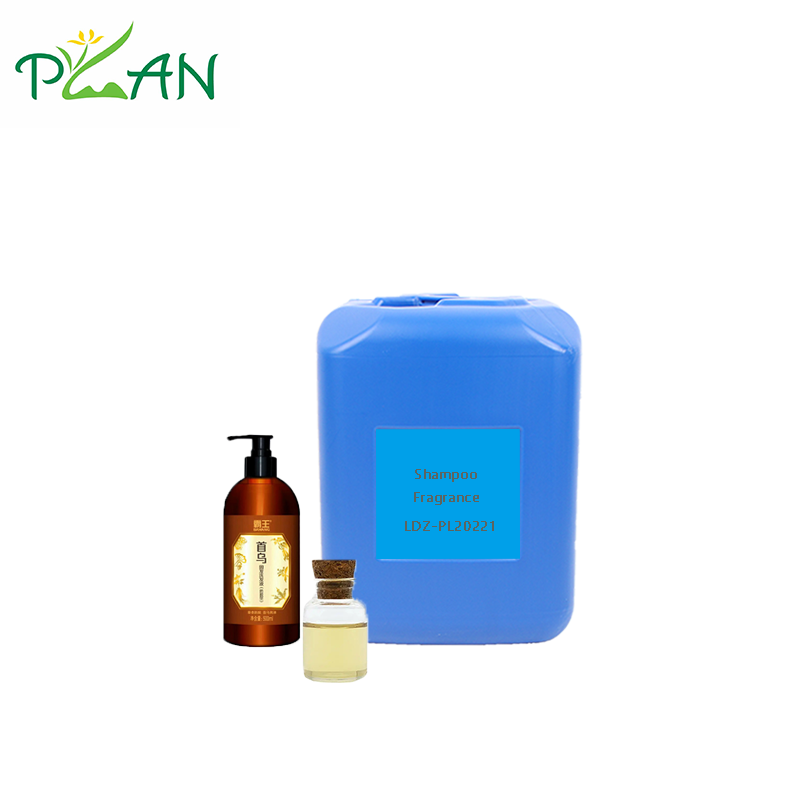 High Purity Concentrated Polygonum Multiflorum Fragrance Oil with Earthy Herbal Scent and 36 Months Shelf Life for Shampoo Making