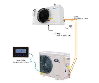 Controle eletrônico da válvula da expansão de DCF030AM que refrigera rapidamente, UNIDADE da eficiência elevada SCROLLTECH + REFRIGERADOR de UNIDADE de CONDENSAÇÃO