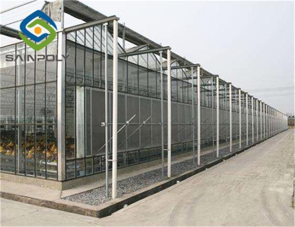 275g/m2 Side Ventilation Glass Hydroponic Greenhouse For Flowers