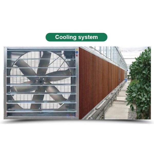 Сельскохозяйственные светочувствительные теплицы - идеальное решение для выращивания грибов