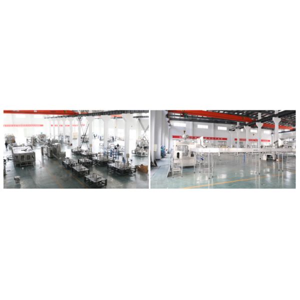 5000BPH Rotary PET Mineral Water Filling Packaging Machine