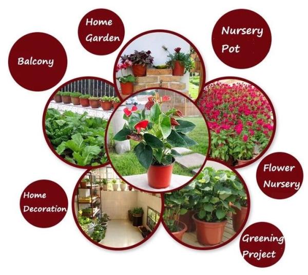 Tomato Potato Carrot Onion Peanut Growing Pot Garden Planter Pot,PP potato grow pot planting bag, bagplastics, bagease