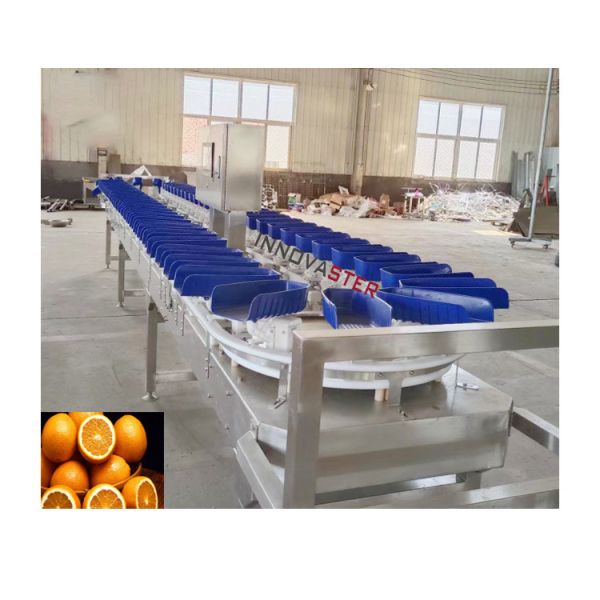 Meat Processing Plants Belt Type Shrimp Grading Machine with User-Friendly Interface