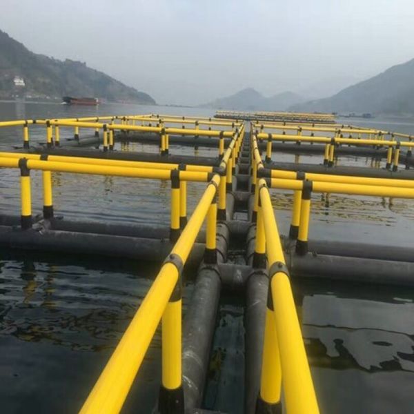 Large‑Diameter Anti‑Wave HDPE Fish Cage Frame for Open‑Sea Aquaculture