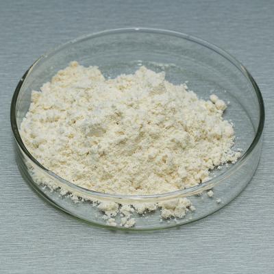 Food Baking Fungal Alpha Amylase Enzyme 5000U/G-100000U/G Powder