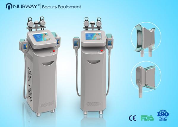 new big promotion cryo cryolipolysis slimming equipment (NBW-C325)